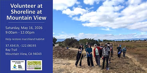 Volunteer Outdoors in MV Shoreline Marsh Habitat Restoration