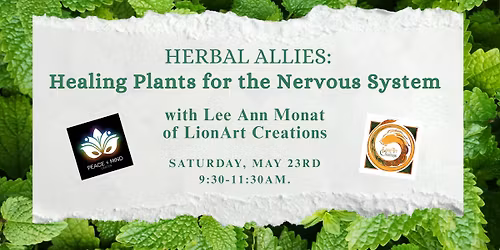 Herbs to Calm the Nervous System: an Herbal Medicine Making Class w\/LeeAnn Monat