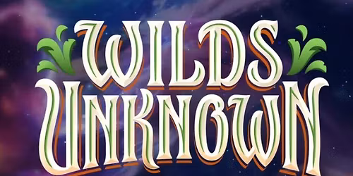 Disney Lorcana - Wilds Unkown Release Tournament