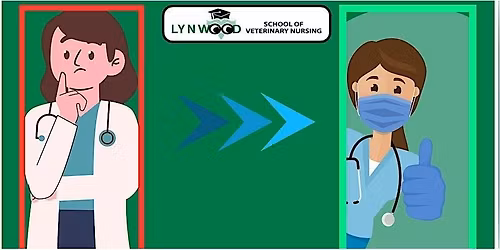 OSCE guidance CPD workshop for clinical supervisors