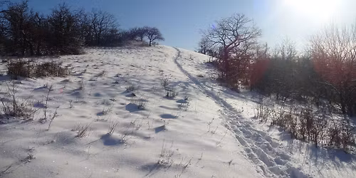 Fel a Cs\u00f3v\u00e1nyosra!