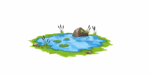 Pond dipping