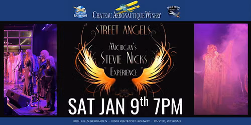 Stevie Nicks Tribute by Street Angel