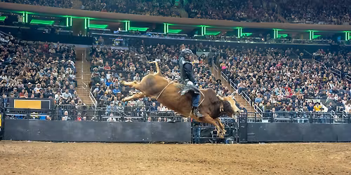 Professional Championship Bull Riders