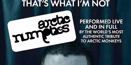 Arctic Numpties - Debut Album 20th Anniversary Show