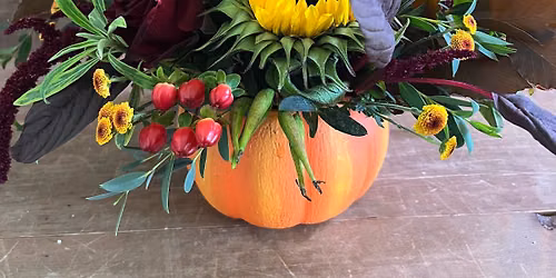 Fresh Flower Pumpkin Centrepiece (Wednesday)