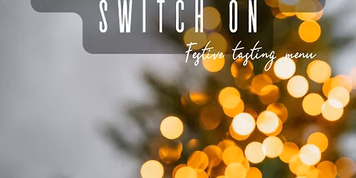 Christmas Light Switch on