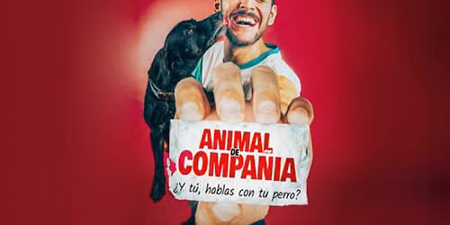 Animal de Compa\u00f1\u00eda
