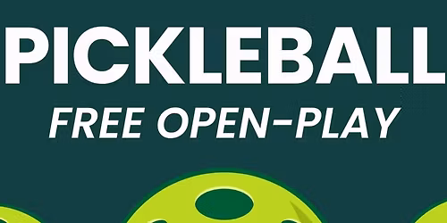 Pickleball with the missionaries