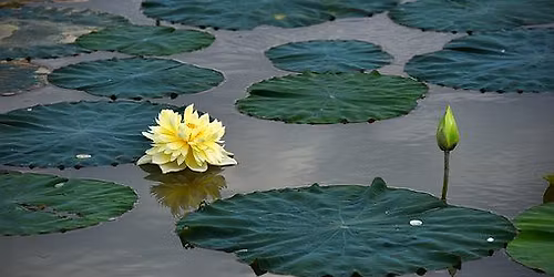 Sunday Meditation