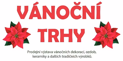 V\u00e1no\u010dn\u00ed trhy v sokolovn\u011b