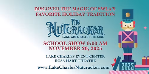 SCHOOL PERFORMANCE - November 20, 2025