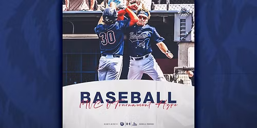 Belmont Bruins at Tennessee Volunteers Baseball at Lindsey Nelson Stadium