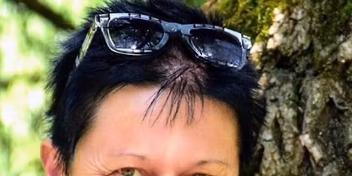 Stoaroas Treffen in Steyr 