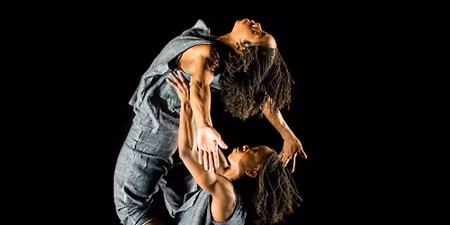 A Night\u2019s Game (Alleyne Dance, UK) @ \u0219coala de teatru alternativ