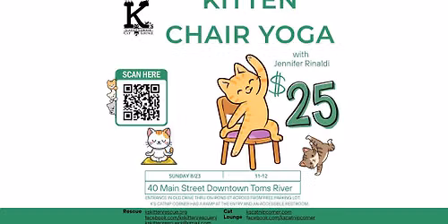 Chair Yoga With Kittens