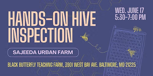 Hands-On Hive Inspection