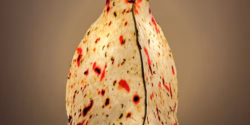 Ember Grove at Designing Women's Market