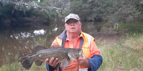 King River & Xmas BBQ