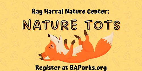 Nature Tots - Nocturnal Nature