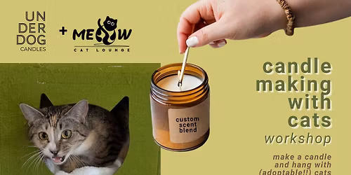 Candle Making with Cats