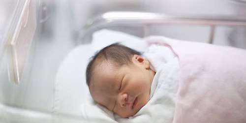 I Spotkanie SKN Neonatologii UMP
