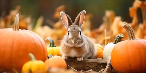 2026 Carroll County RCBA Fall Show