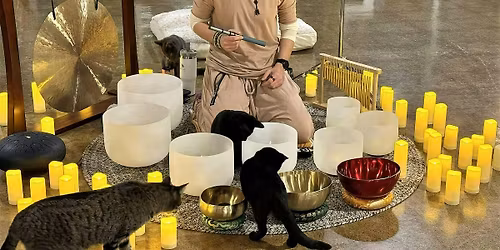 Sacred Sound Bath Journey with Kathryn Watterson to benefit Ferndale Cats