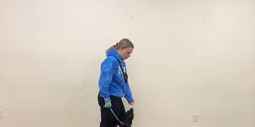 Advanced Walking with Distractions Class 