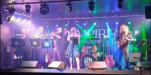 The Hornbeats 9 piece Band, covering Soul, Rock, Funk & Ska