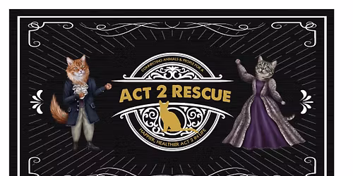 Petsmart Lake Elsinore Cat Adoption Event with Act 2 Rescue