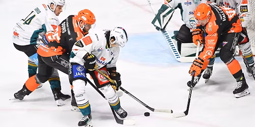 Belfast Giants at Sheffield Steelers Ice Hockey at Utilita Arena Sheffield