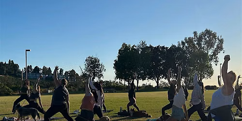 Yoga in the Park