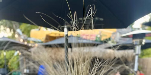 Fall Patio Pot Planting Workshop