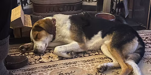 Village Artisans Christmas Craft Fair 