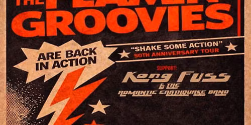 FLAMIN\u2019 GROOVIES