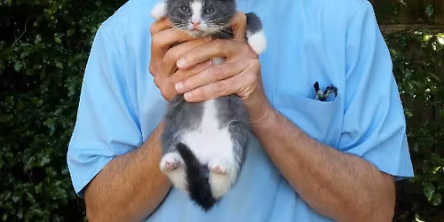 Dr. Darren Merrett\u2018 veterinary seminar for Junior veterinarians at St. Angel Animal Medical Centre