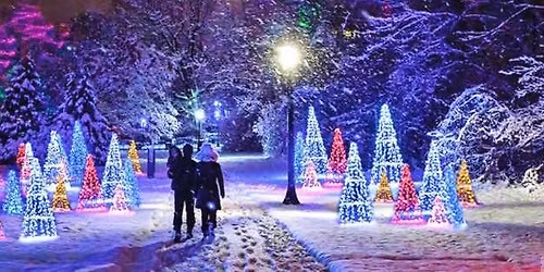 Milton Community Christmas Tree Lighting Party