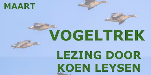 Het mysterie van de vogeltrek, een tipje van de sluier opgelicht