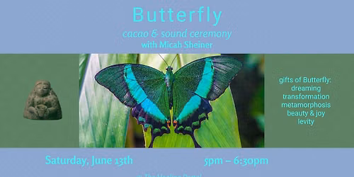 Butterfly Spirit Sound & Cacao Journey with Micah, June 13th 5pm $45