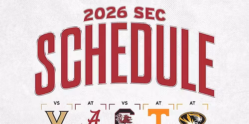 South Carolina Gamecocks vs. Texas Longhorns