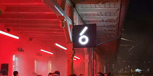 Compact Disco NYE: Under the Disco Ball, Into the Groove