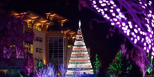 Scentsy Commons Christmas Lights Ceremony