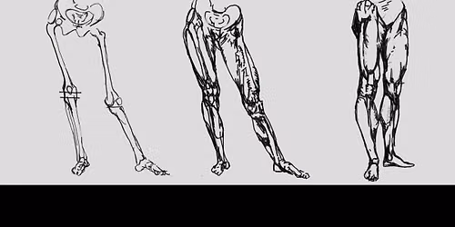 Life Drawing