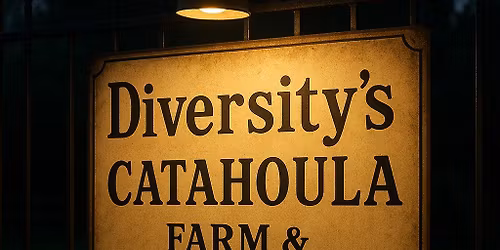 K\u00f6lt\u00f6z\u00e9s, lesz ami lesz!