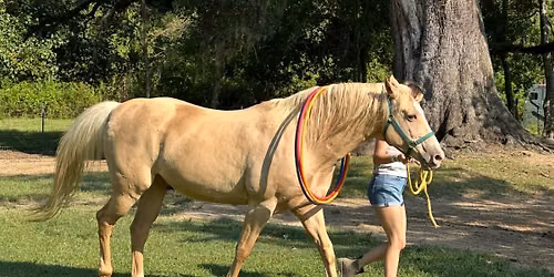 OK Corral EAP training and certification 
