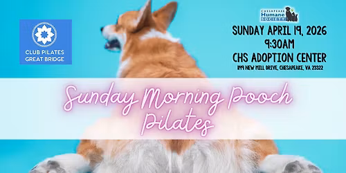 Pooch Pilates at Chesapeake Humane