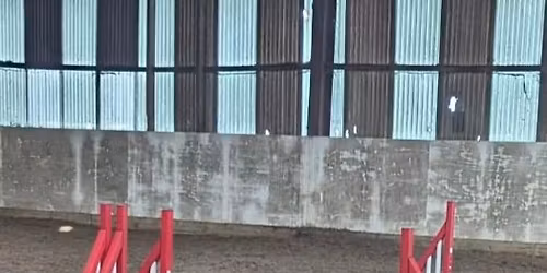 Beginners agility course South Sheffield (indoors)