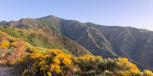 Les 4000&Trails du Val d'Aigoual