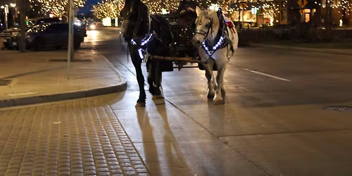 2025 Fort Collins Christmas Rides